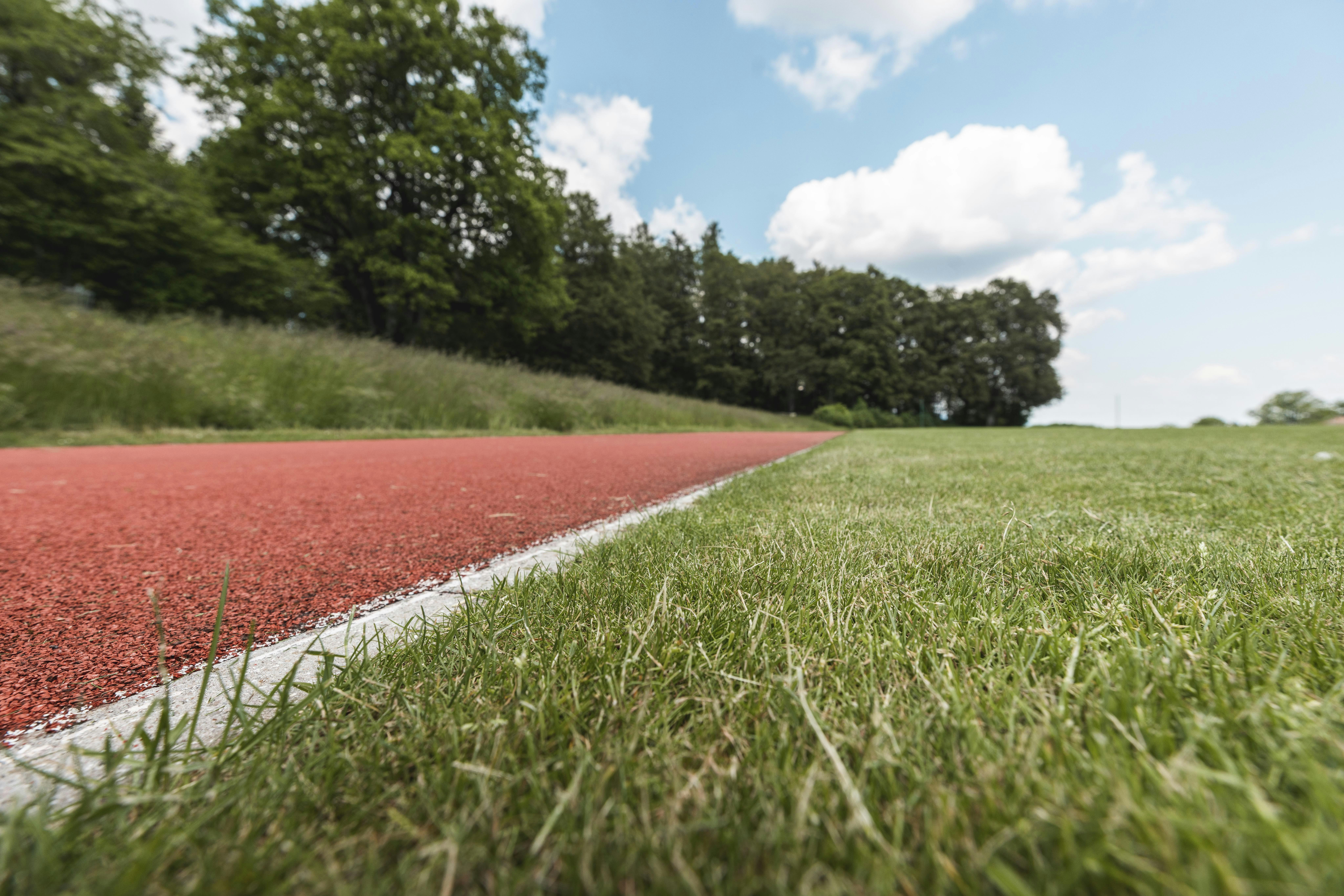 Beispiel für Biodiversitätsmaßnahmen am Lärchenplatz. Shooting für das Voilà.
Foto: BASPO / Charlène Mamie