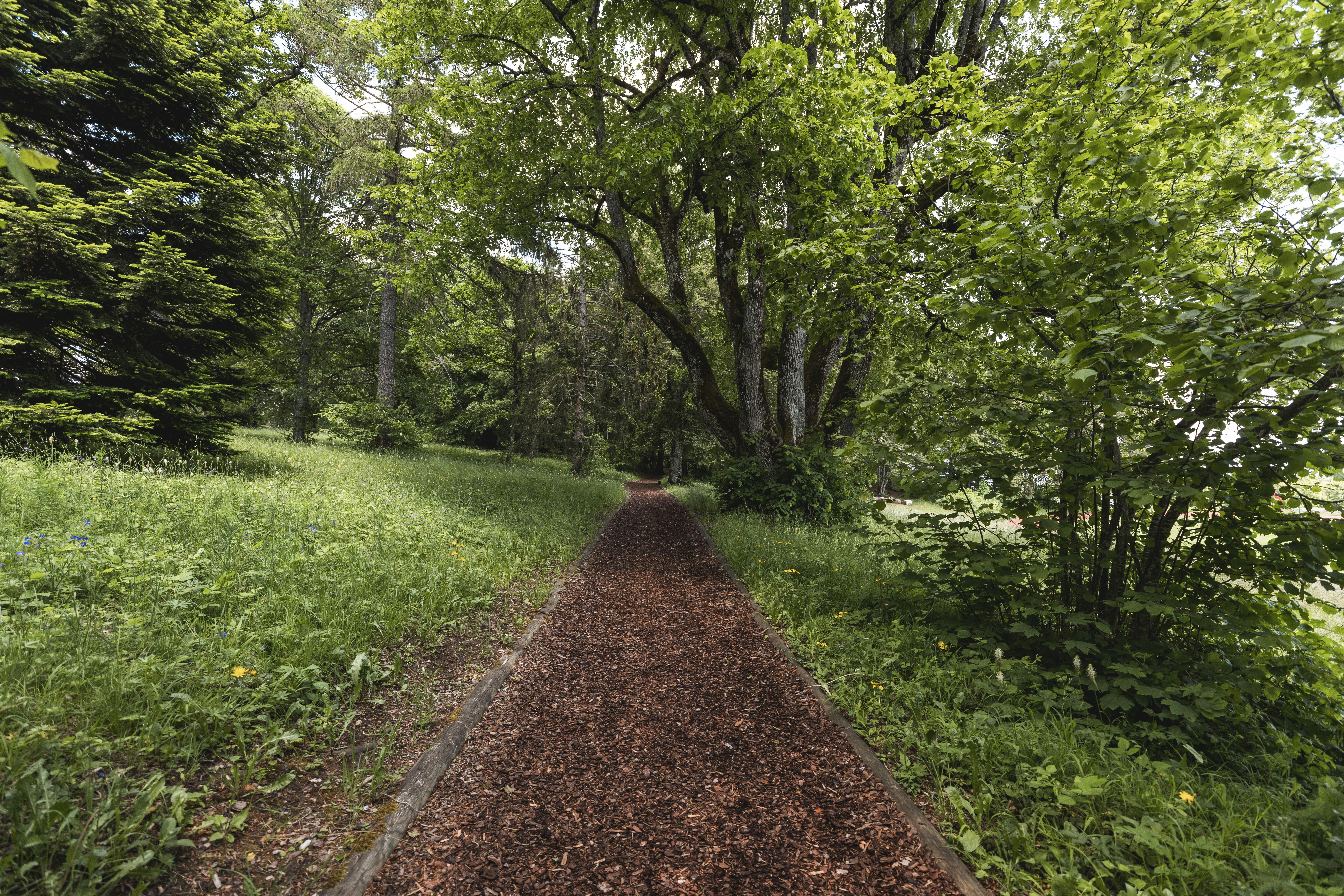 Beispiel für Biodiversitätsmaßnahmen am Lärchenplatz. Shooting für das Voilà.
Foto: BASPO / Charlène Mamie