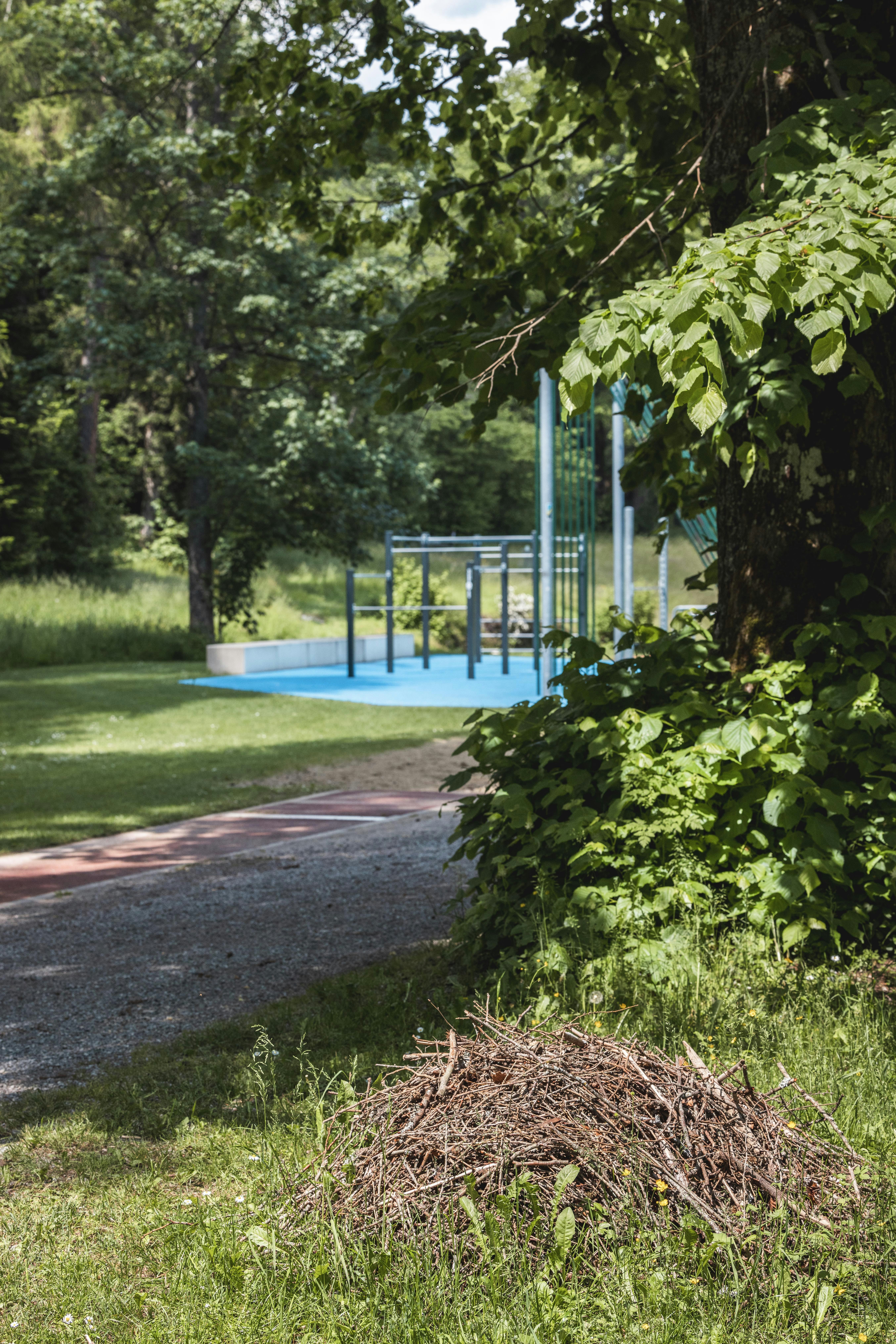Beispiel für Biodiversitätsmaßnahmen am Lärchenplatz. Shooting für das Voilà.
Foto: BASPO / Charlène Mamie